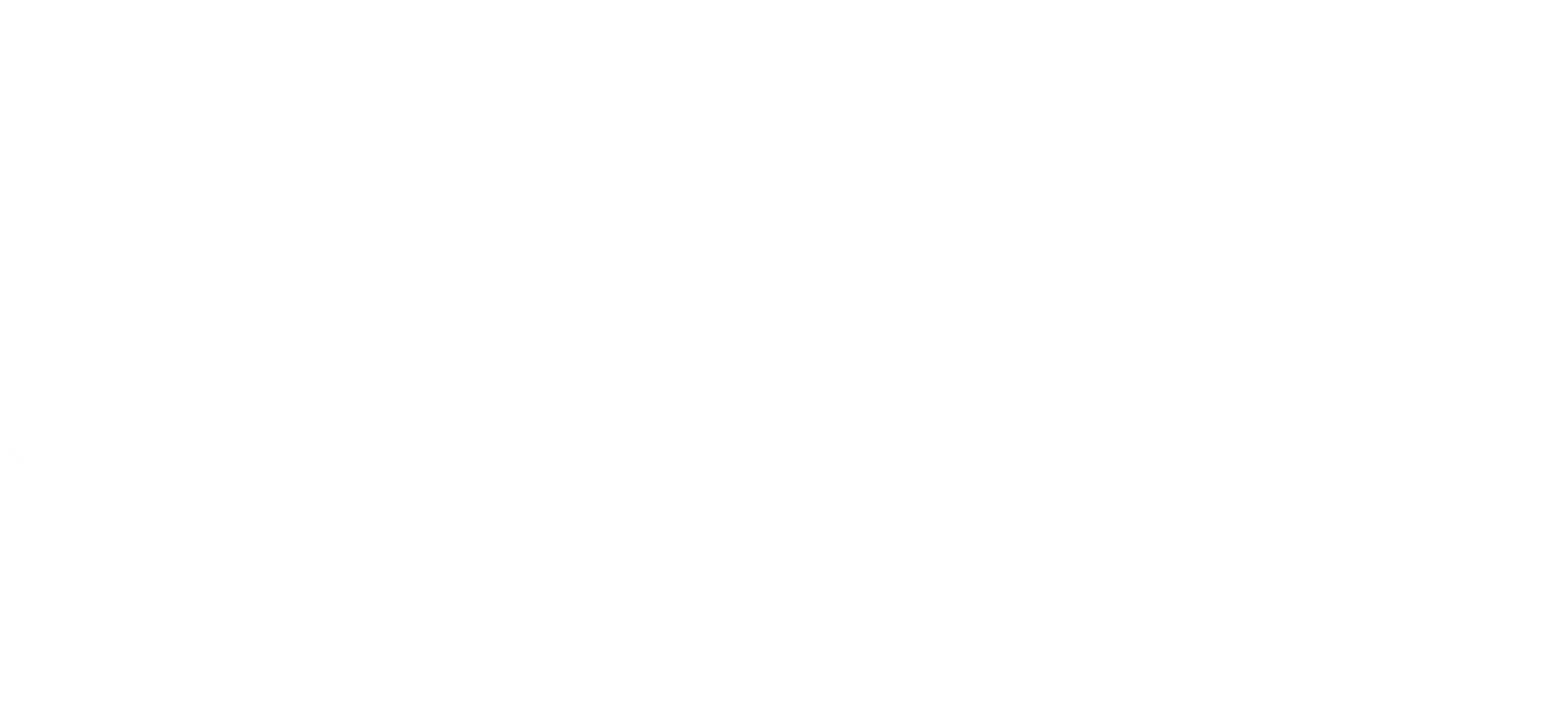 Silicate Systems